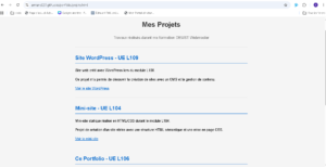 Lire la suite à propos de l’article Portfolio-github